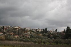 Olive orchard and houses in Elis, Greece.jpg