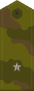 Russia-Army-OF-1a-camo.svg