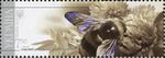 Stamp of Ukraine s1654.jpeg