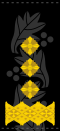 UANs shoulder mark 18.svg