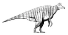 Corythosaurus casuarius