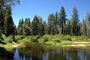 General Creek at Sugar Pine Point State Park.jpg
