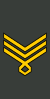 Georgia-Army-OR-9b.svg