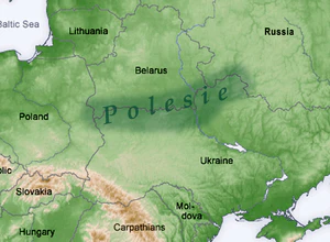 Polesia map - topography.jpg