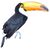 Ramphastos toco -Stadtgärtnerei Zürich - 20100919 white background.jpg