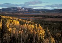 Tetlin Refuge Autumn Landscape.jpg