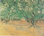 Van Gogh - Olivenbäume.jpeg