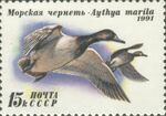 1991 CPA 6335.jpg