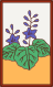 Hanafuda December Kasu 2.svg