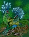 Natunaornis gigoura e.jpg