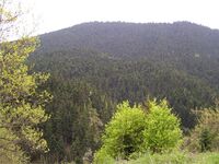 Oiti05.jpg