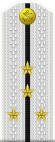 Russia-Navy-OF-2-1994-white.svg