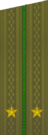 погоны 1969