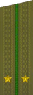 погоны 1969