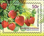 Russia stamp 2020 № 2588.jpg