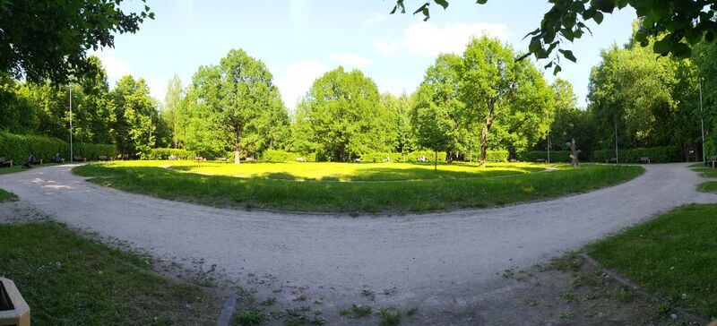 Панорама центральной поляны заказника