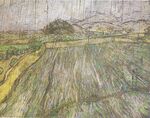 Van Gogh - Weizenfeld im Regen.jpeg
