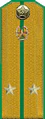 погоны 1956