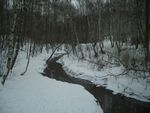 Bitsa River in Yasenevo Forest Park.jpg
