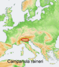 Distribution map Campanula raineri.png
