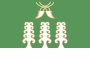 Flag of Sharansky rayon.svg