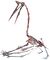 Gfp-quetzalcaotlus white background.jpg