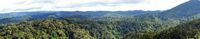 Nyungwe Foprest panorama.jpg