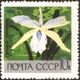 The Soviet Union 1969 CPA 3753 stamp (Cattleya hybrid (orchid)).jpg