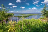 Южное побережье Невской.jpg