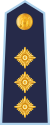 14.LVAF-COL.svg