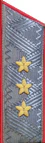 погоны 1959