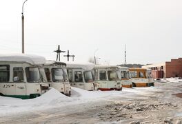 ЛиАЗы-677М в Северске (2008)