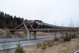 Nahkiala pedestrian bridge.jpg