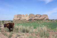 Nukus - Khiva, Qyzyl Qala (6226406239).jpg