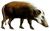 PotamochoerusAfricanusWolf white background.jpg