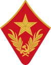 петлица ркм 1936