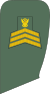 Sudan Army - OR06.svg