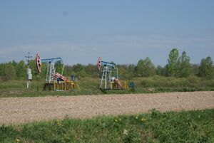 Недалеко от дер. Нижние Лемезы - panoramio.jpg