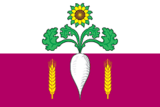 Флаг