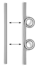 Reidemeister move 1 prime.png