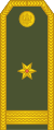 13-Montenegro Army-MAJ.svg