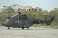 AS332 Super Puma ET504CU1.jpg