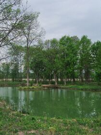 Bardača Nature reservoir.jpg