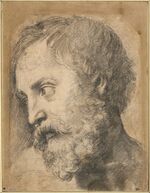 Raphael - Head of An Apostle in the Transfiguration, 1519-1520 - Google Art Project.jpg