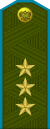 Russia-AirBorne-OF-8-1994-field.svg