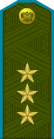 Russia-AirBorne-OF-8-1994-field.svg