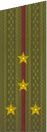 погоны 1969