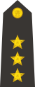 Lieutenant (navy)