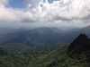 View direction Dos Picachos from El Pico in El Yunque National Forest.JPG