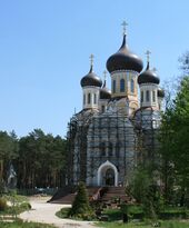 Житомир мон Св Анастасии.jpg